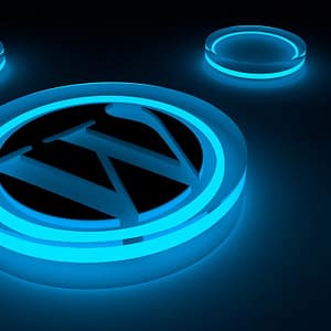 wordpress-3446158_1280 - CMSW - creation site internet sur mesure visibilité GOOGLE